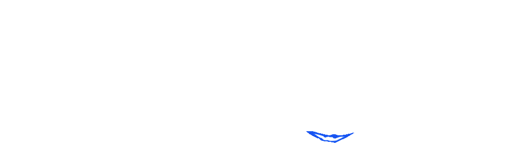SMM Panel Pro Logo